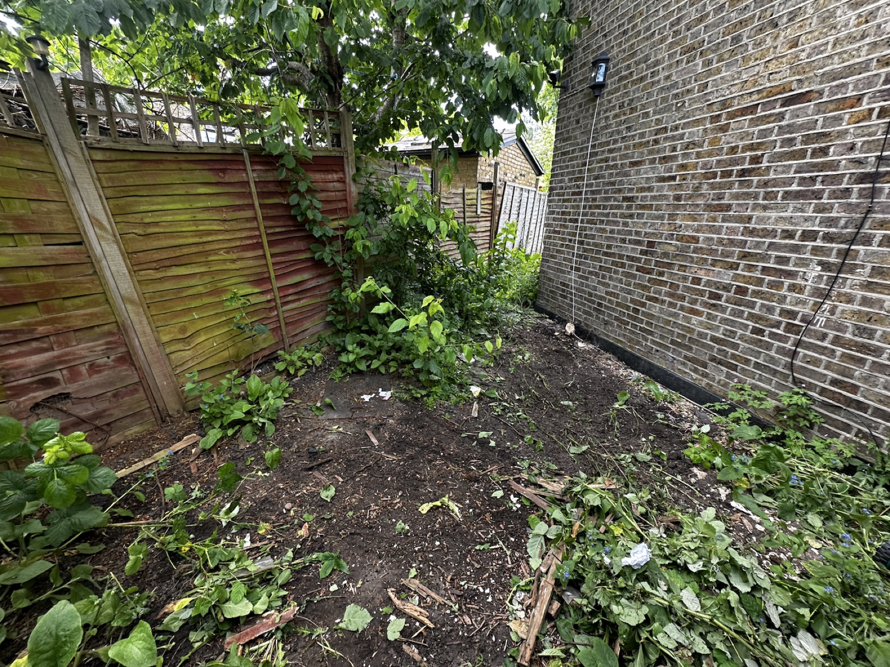 Garden area during clearance beside the old fence