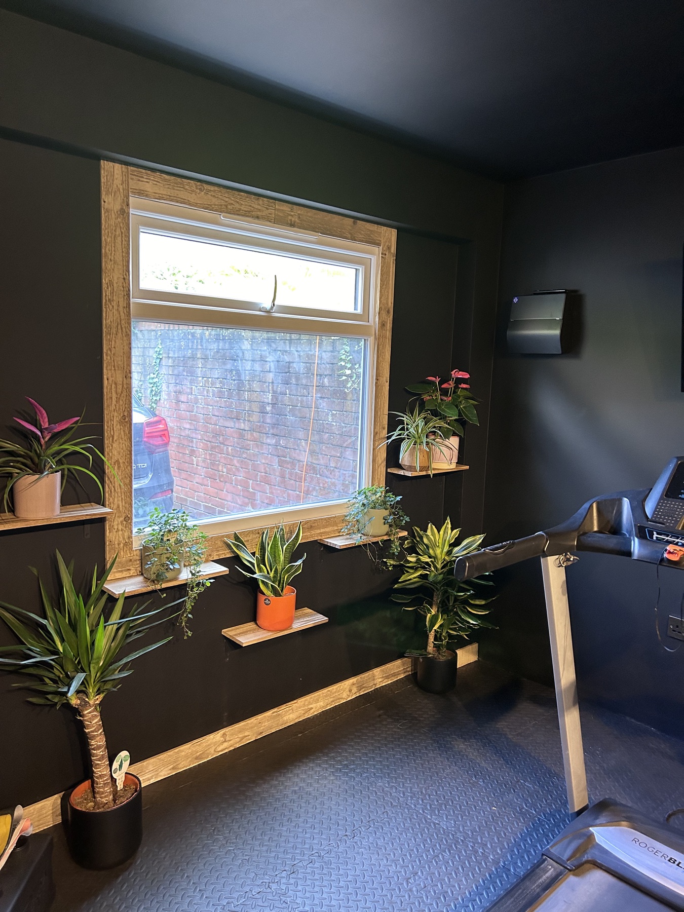 New gym window with timber trim and plant shelves